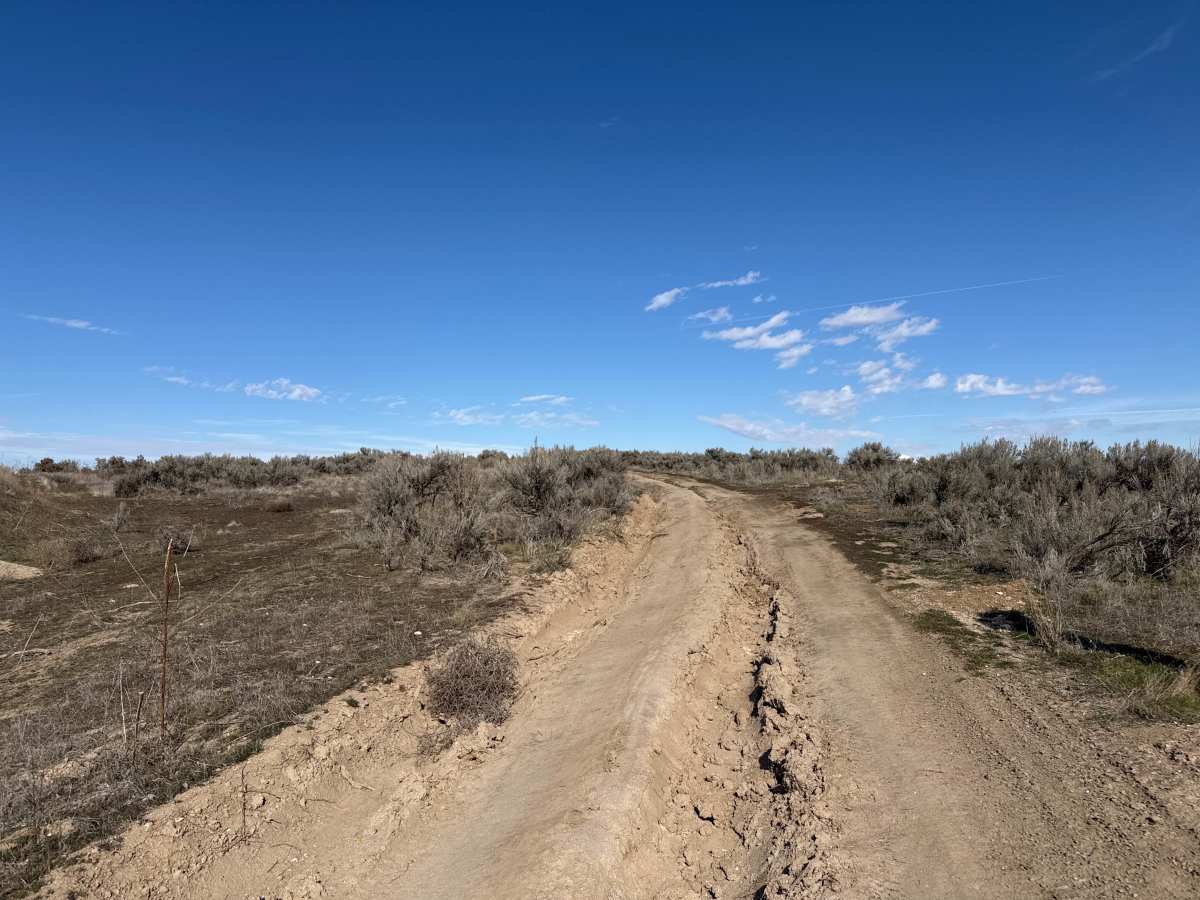 South Curlew Connector photo 5