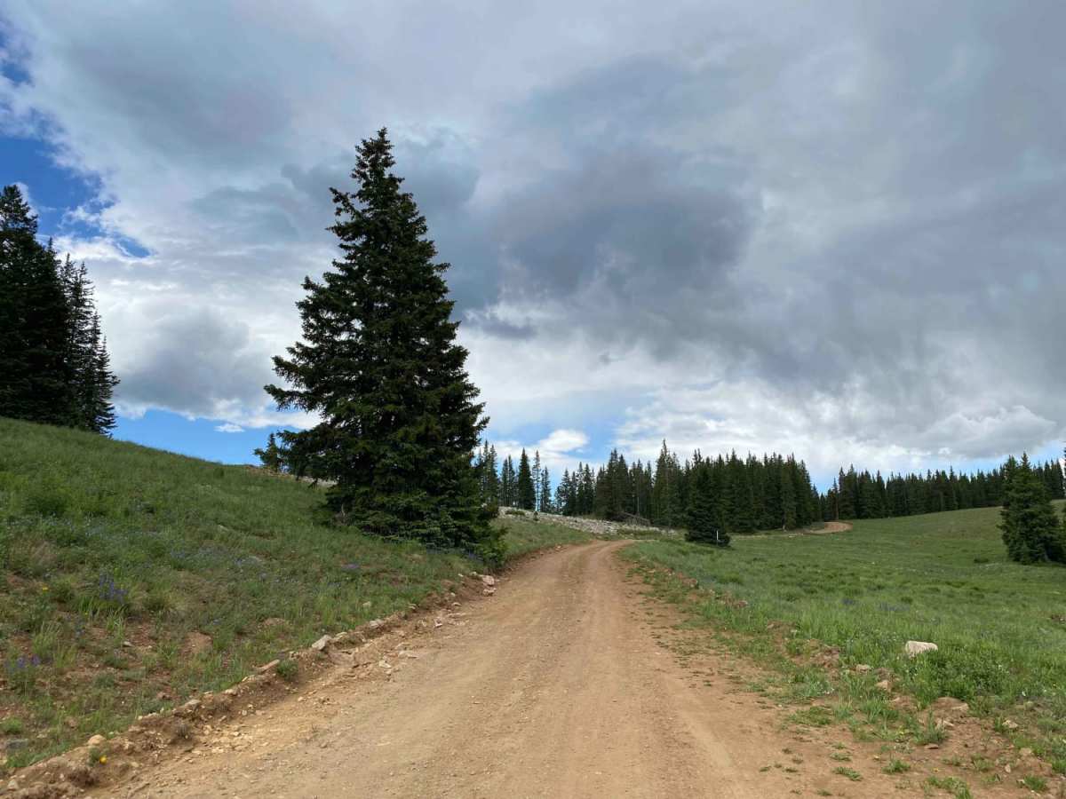 Little Annie Road (CR 15G) trail photo