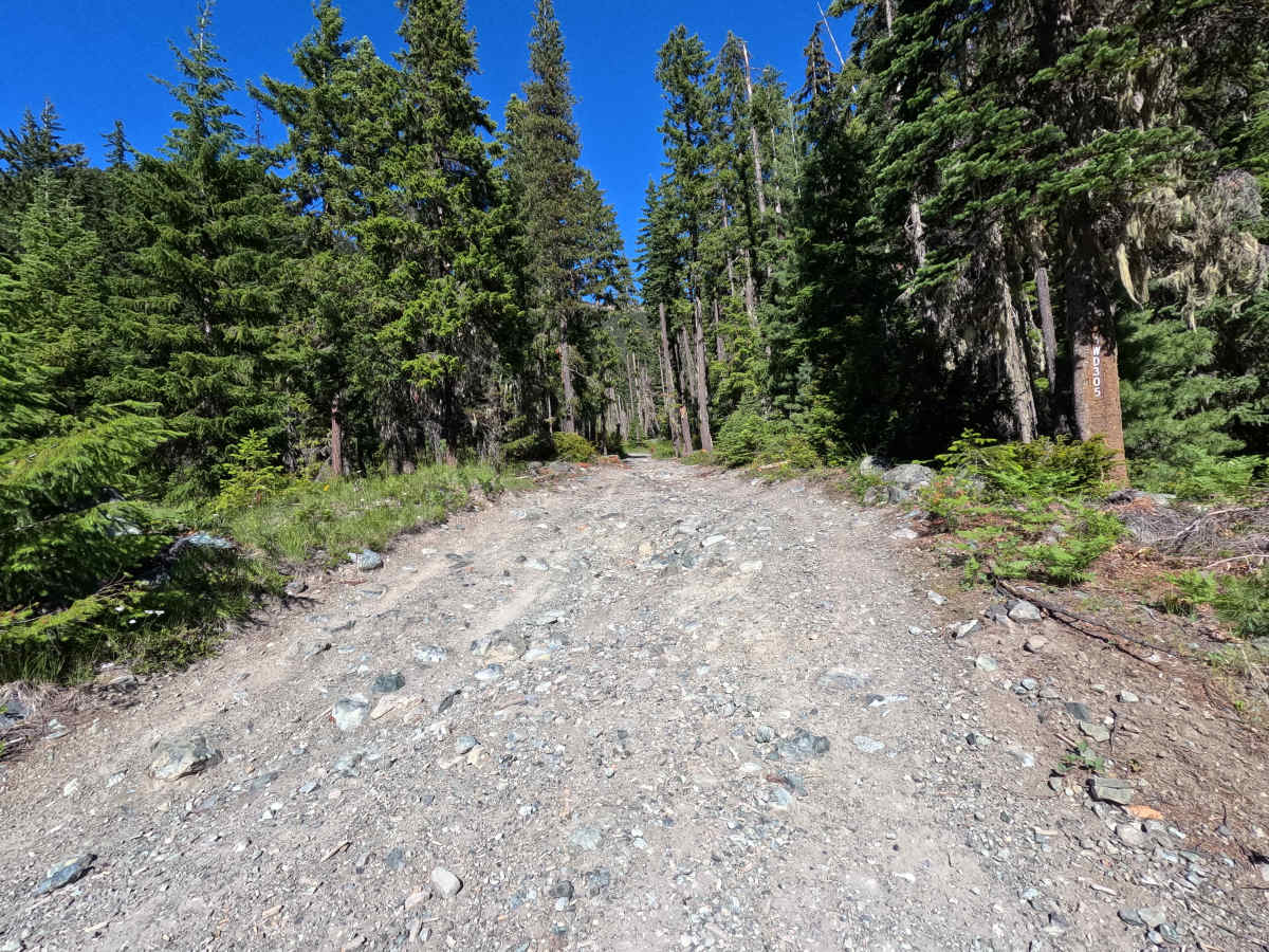 Mine to Market - FS 4W305 trail photo