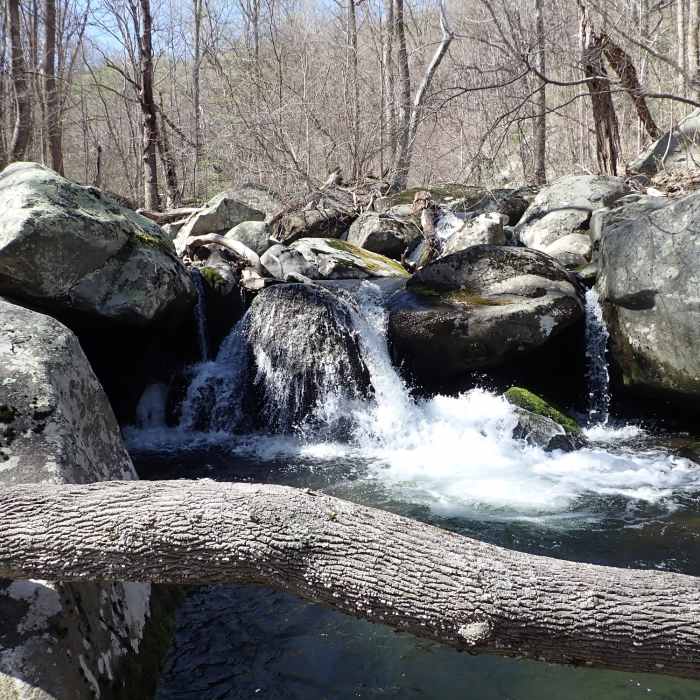 Near Nicholson Hollow