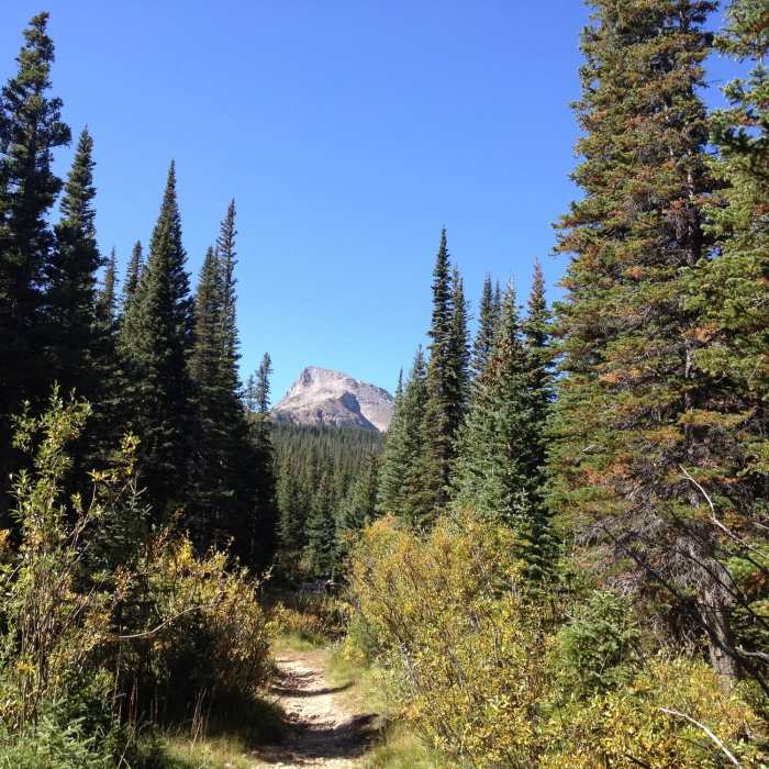 Near Gibralter Lake Out and Back