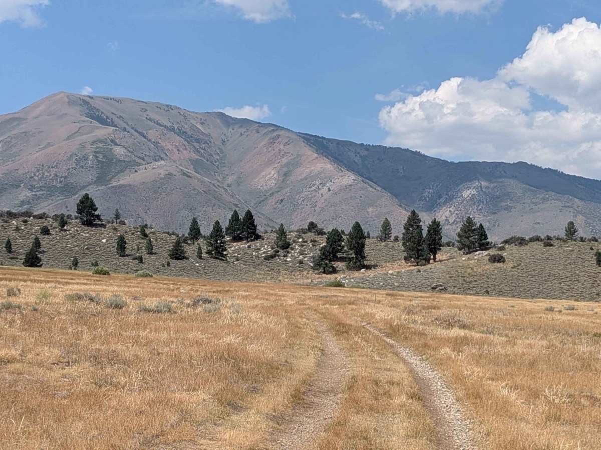 Meadows Way - FS 32144A trail photo