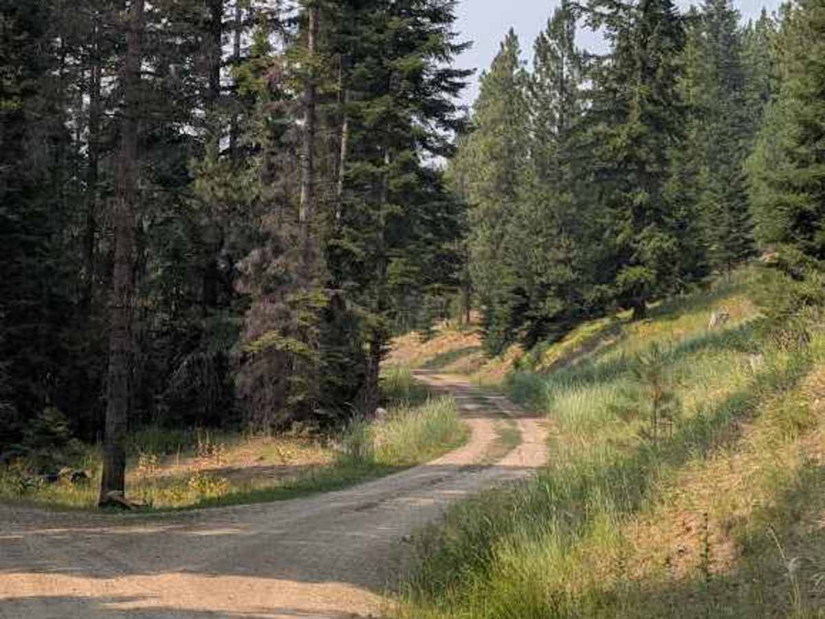 Pearson Creek Road trail photo