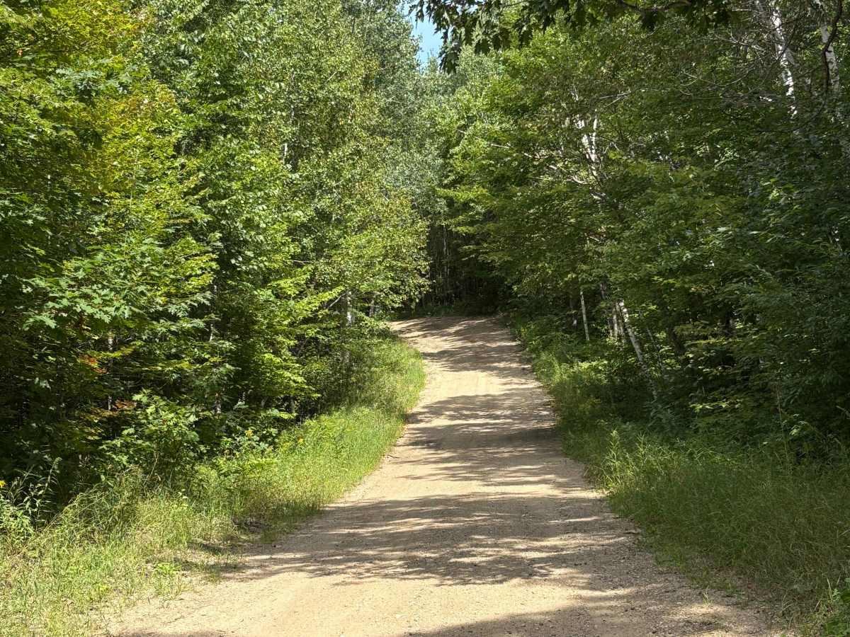 Rat Lake Trail photo 5