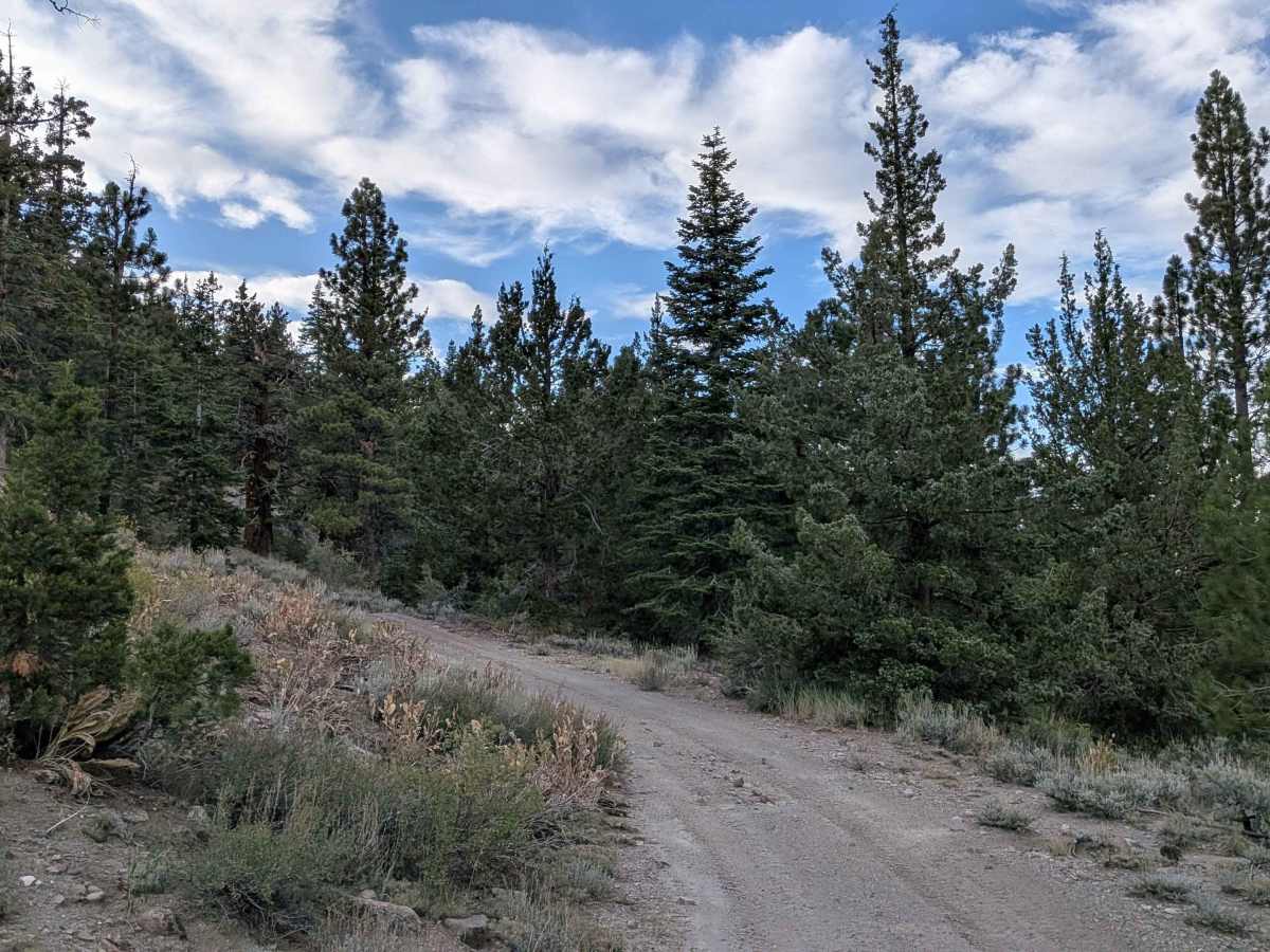 High Peak Road - FS 31050 photo 6