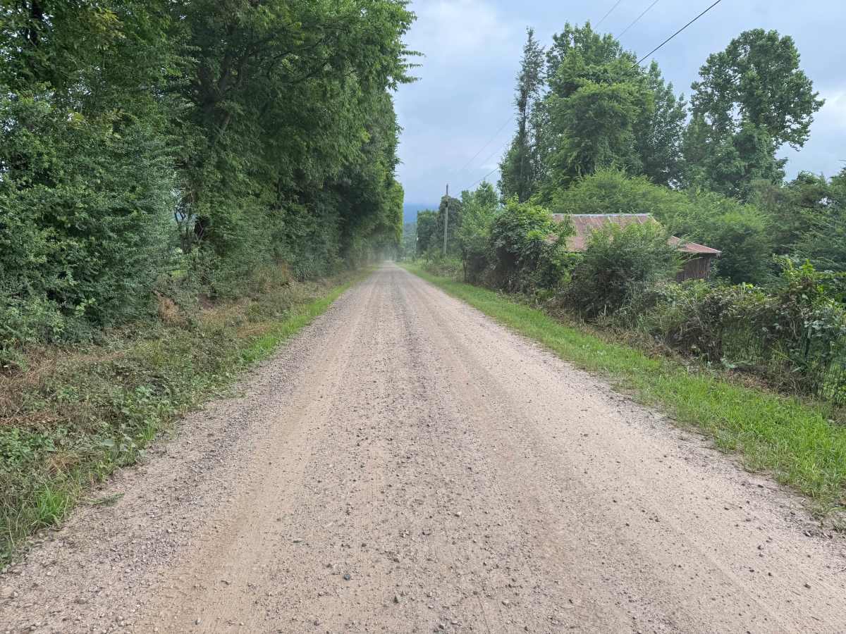 County Road 3161 photo 5