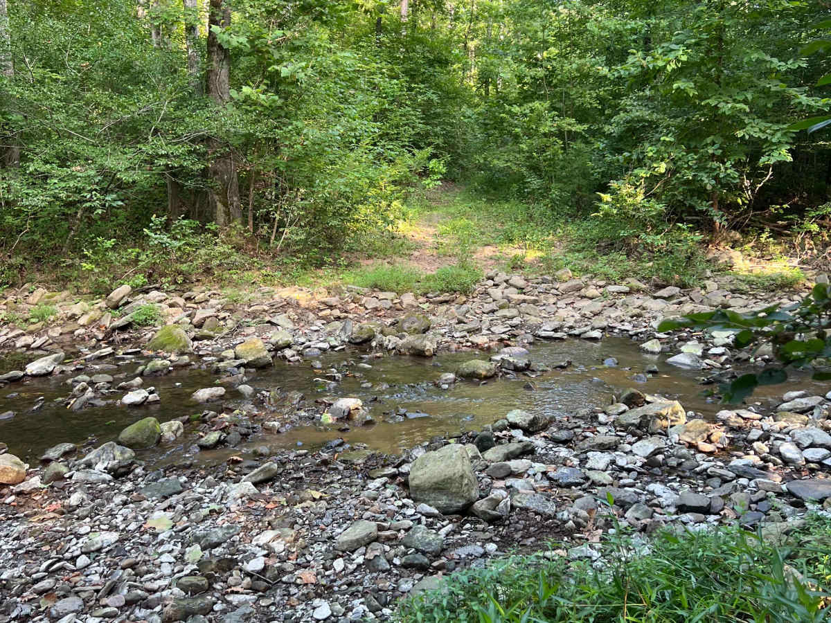Victor Millsaps Trail  photo 3