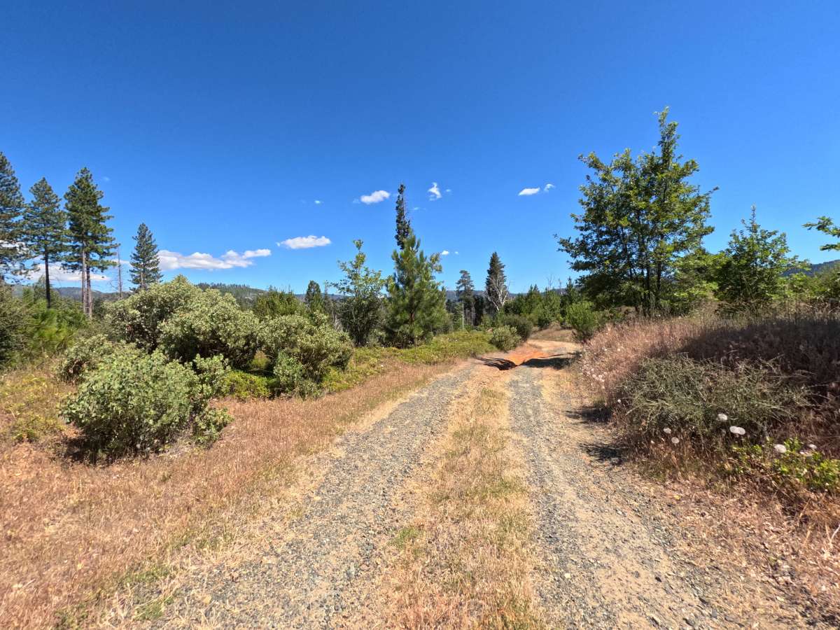 FS 1S24A trail photo