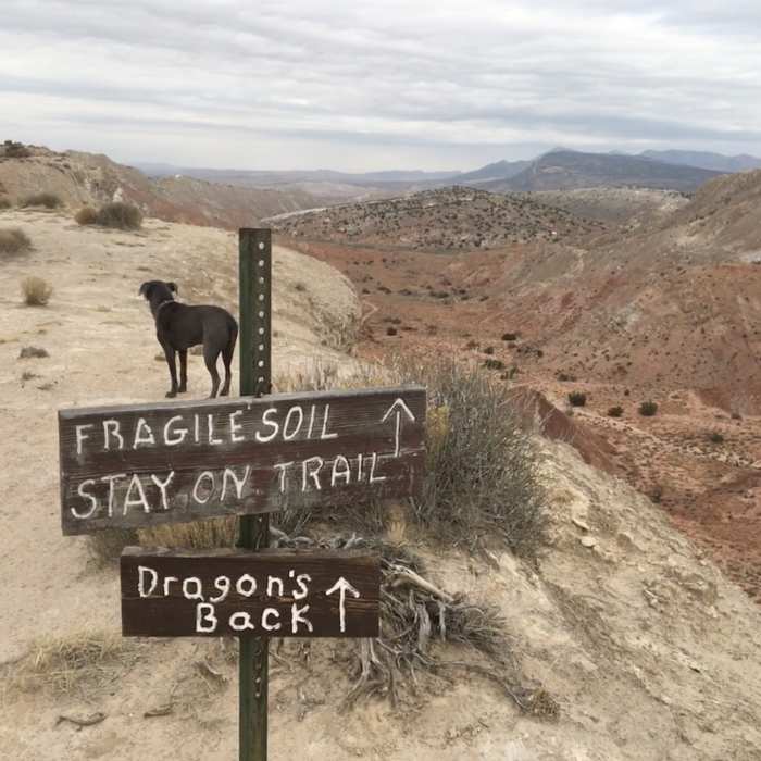 Near Dragon's Back Trail
