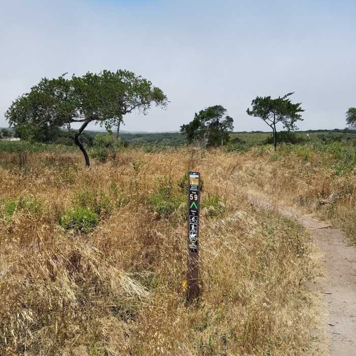 Near Trail 59