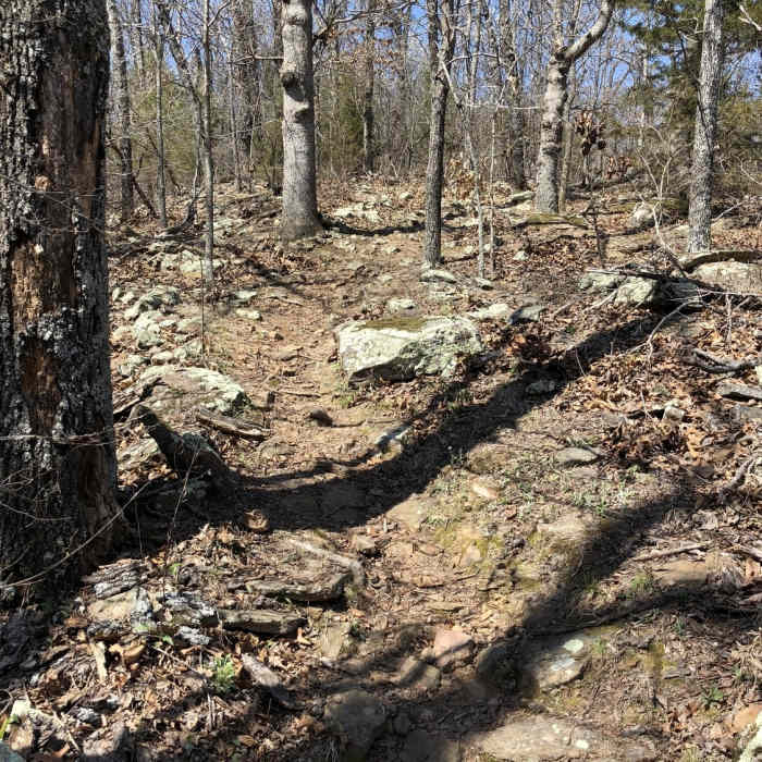 Near Overlook Nature Trail