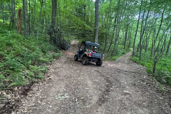 Jack Martin Trail