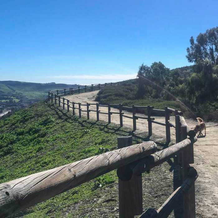 Near Colinas Ridge Trail