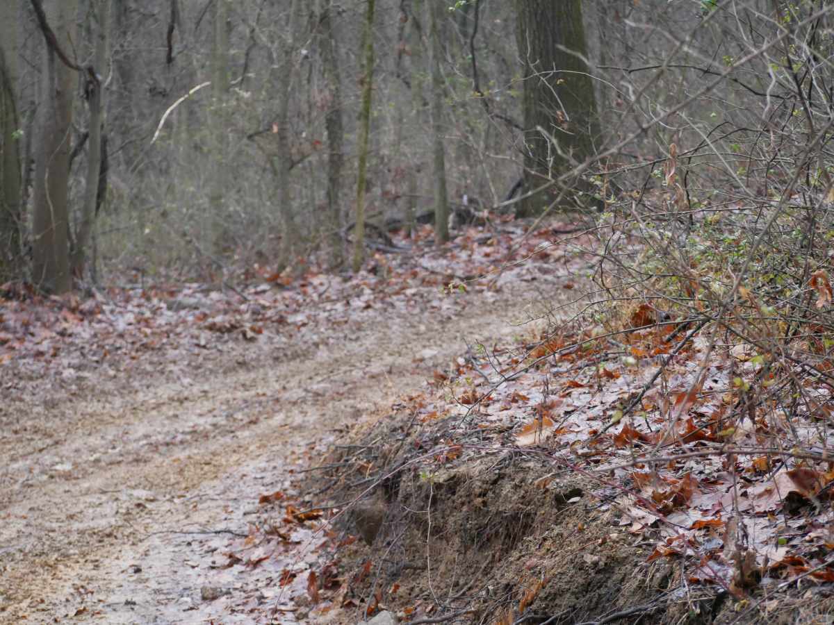 Trail 44 photo 2