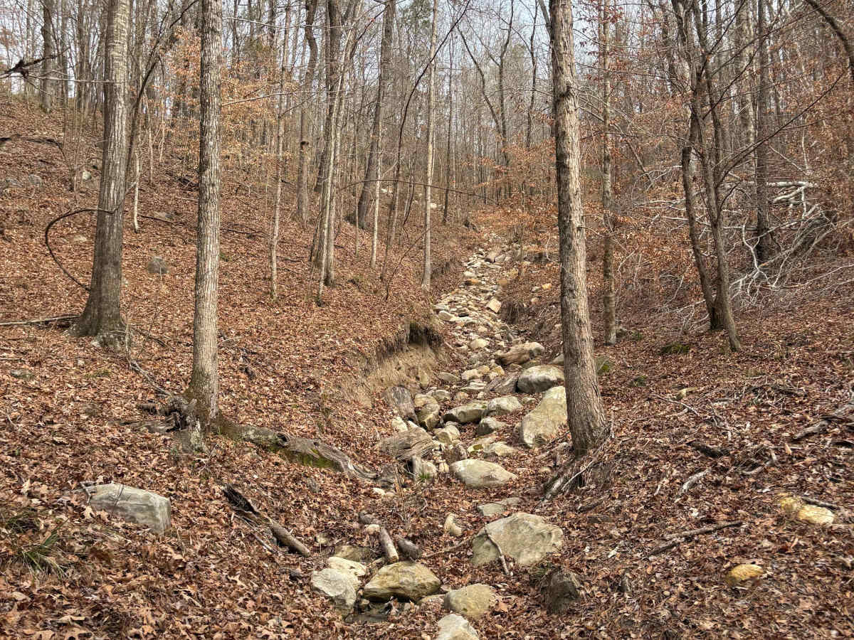 Rock N Roll trail photo