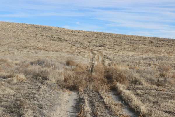 Tumbleweed Lane