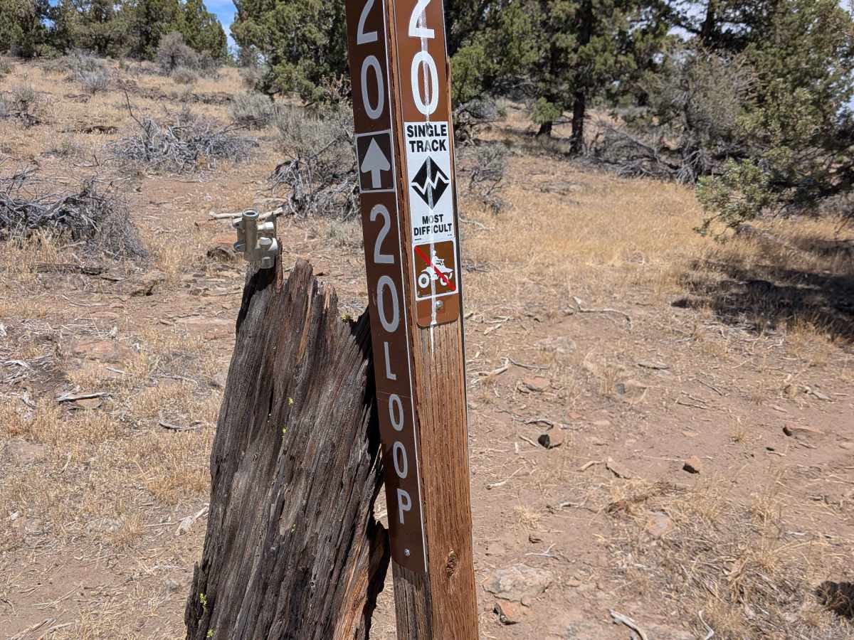 Cline Buttes OHV Trail 20 Loop photo 6