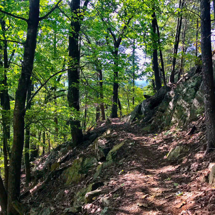 Near Sinkhole Challenge