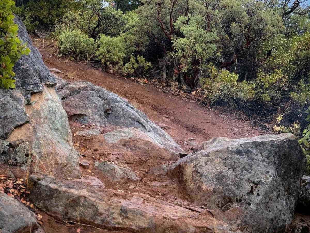 Taylor Creek  photo 3