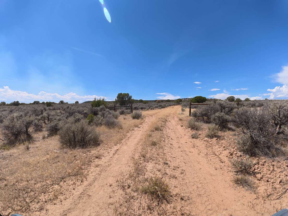 BLM 289 photo 5