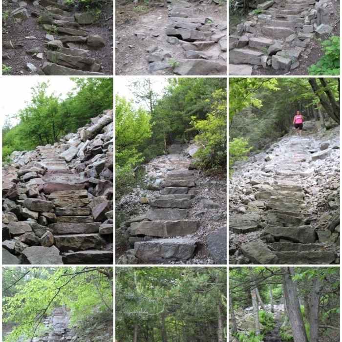 Count the steps. Near Thousand Steps Trail