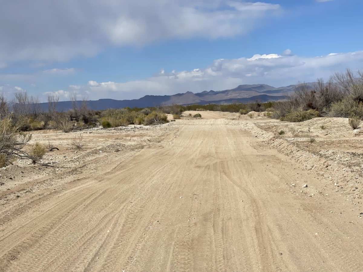 New Alamo Road photo 3
