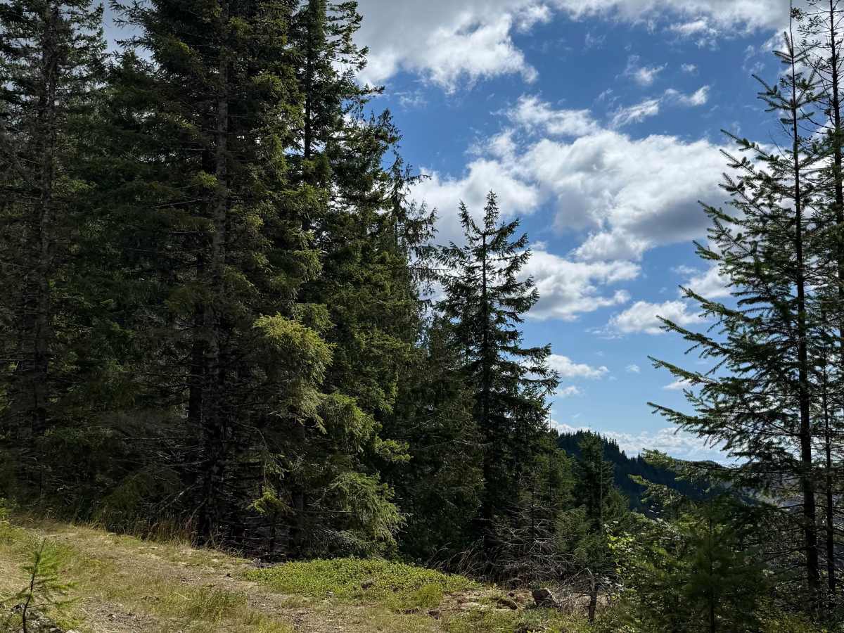 S830 trail photo