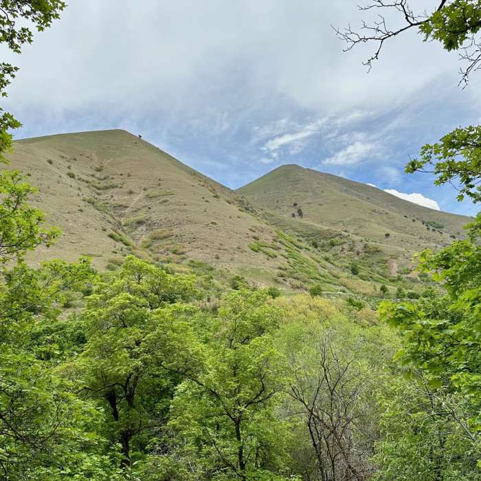 Near Left Fork Maple Canyon Trail