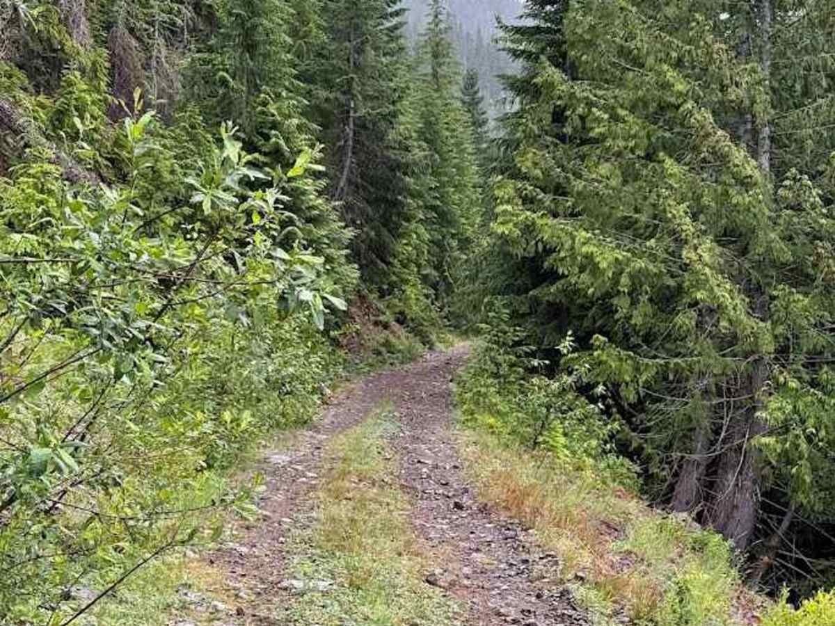 Dandy Creek - FS 5484 photo 3