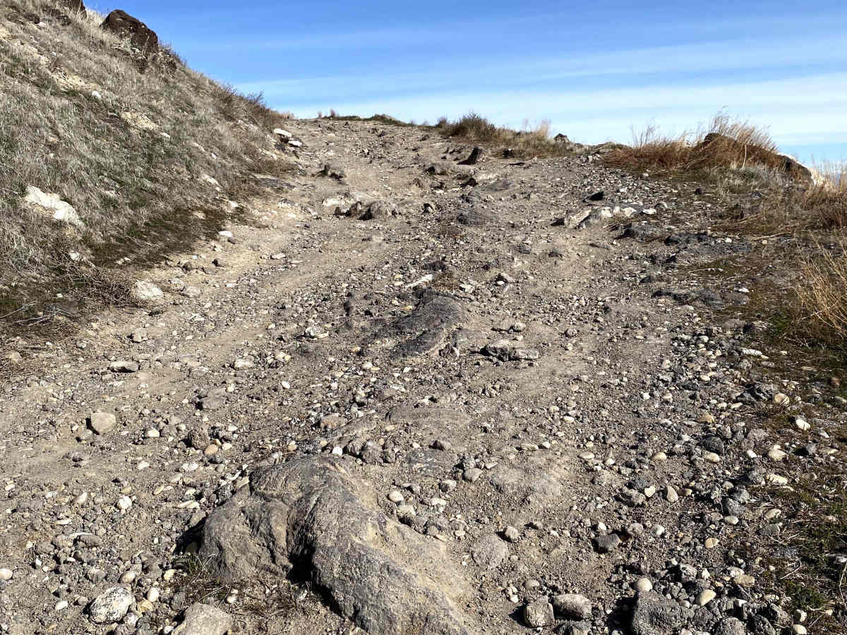Initial Point  photo 3