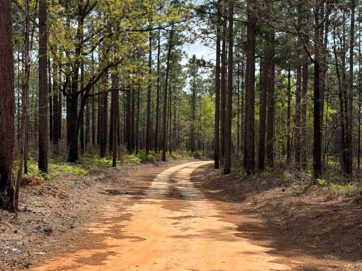 Hurricane Lake North R 171 trail photo