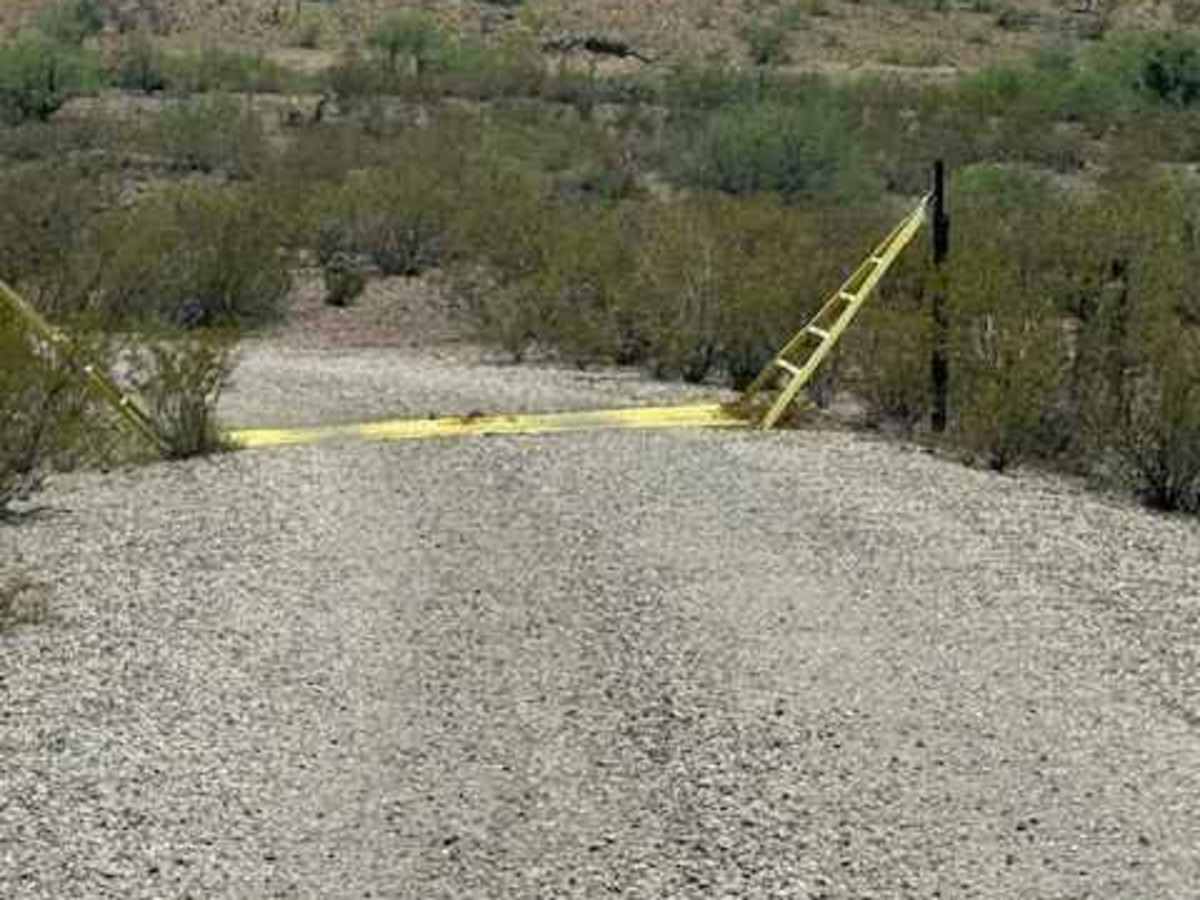 BLM PE1139 photo 4