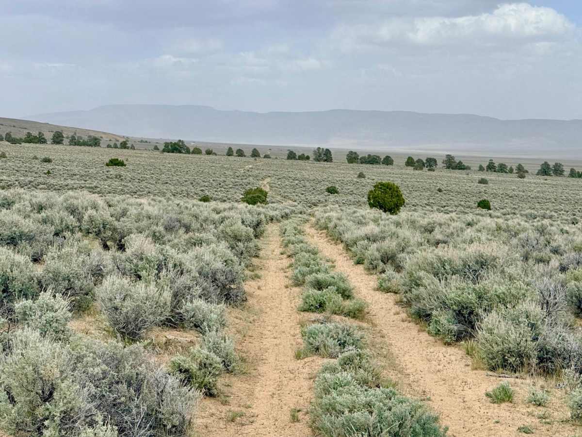 Goodyear Spring - FS 43252 trail photo