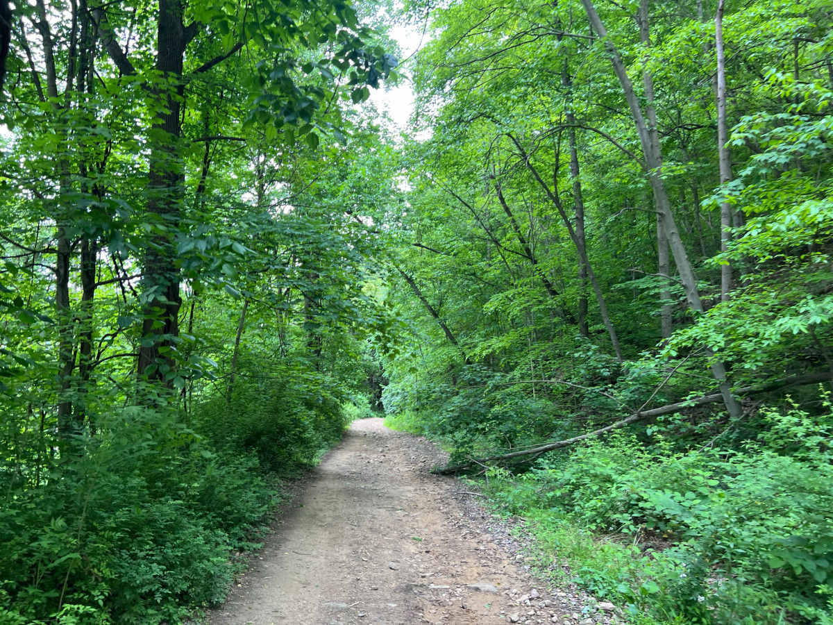 Q63 photo 4