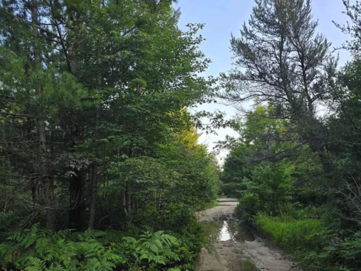 North Meridian Road photo 2