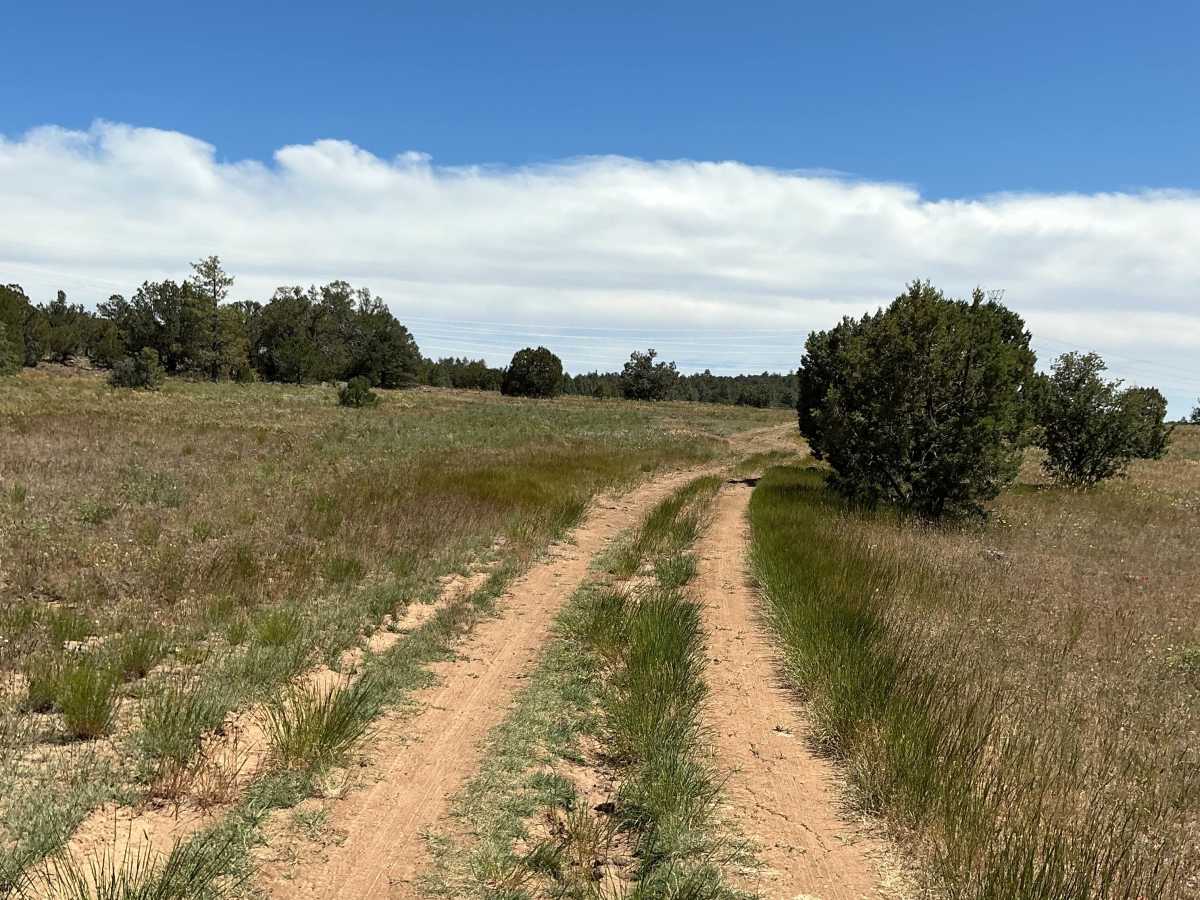 FS 9E trail photo