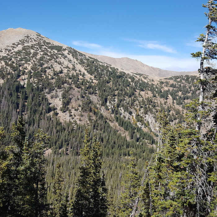 the high point of Segment 13 Near Mount Yale East Ridge