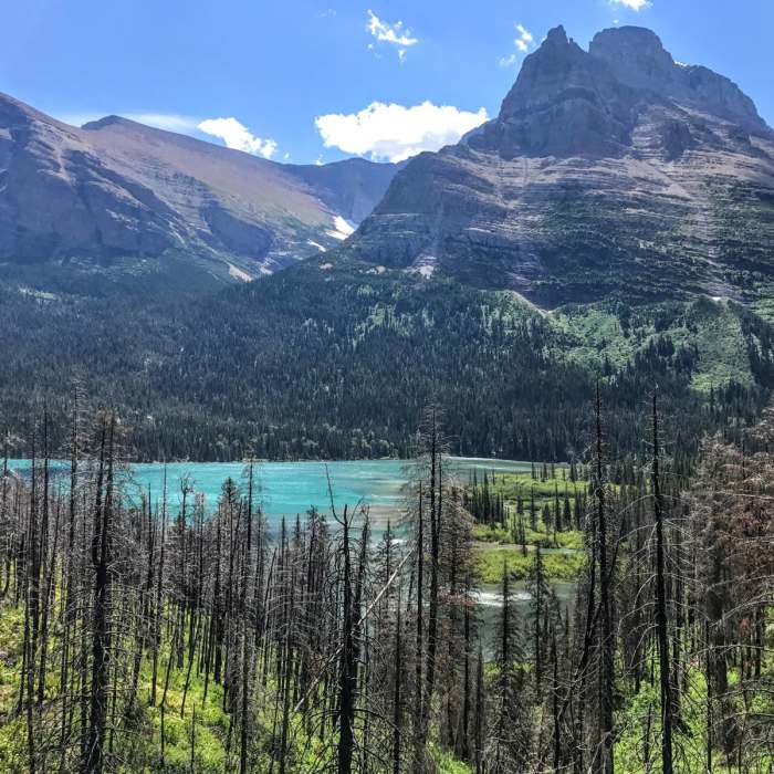 Near Saint Mary Falls