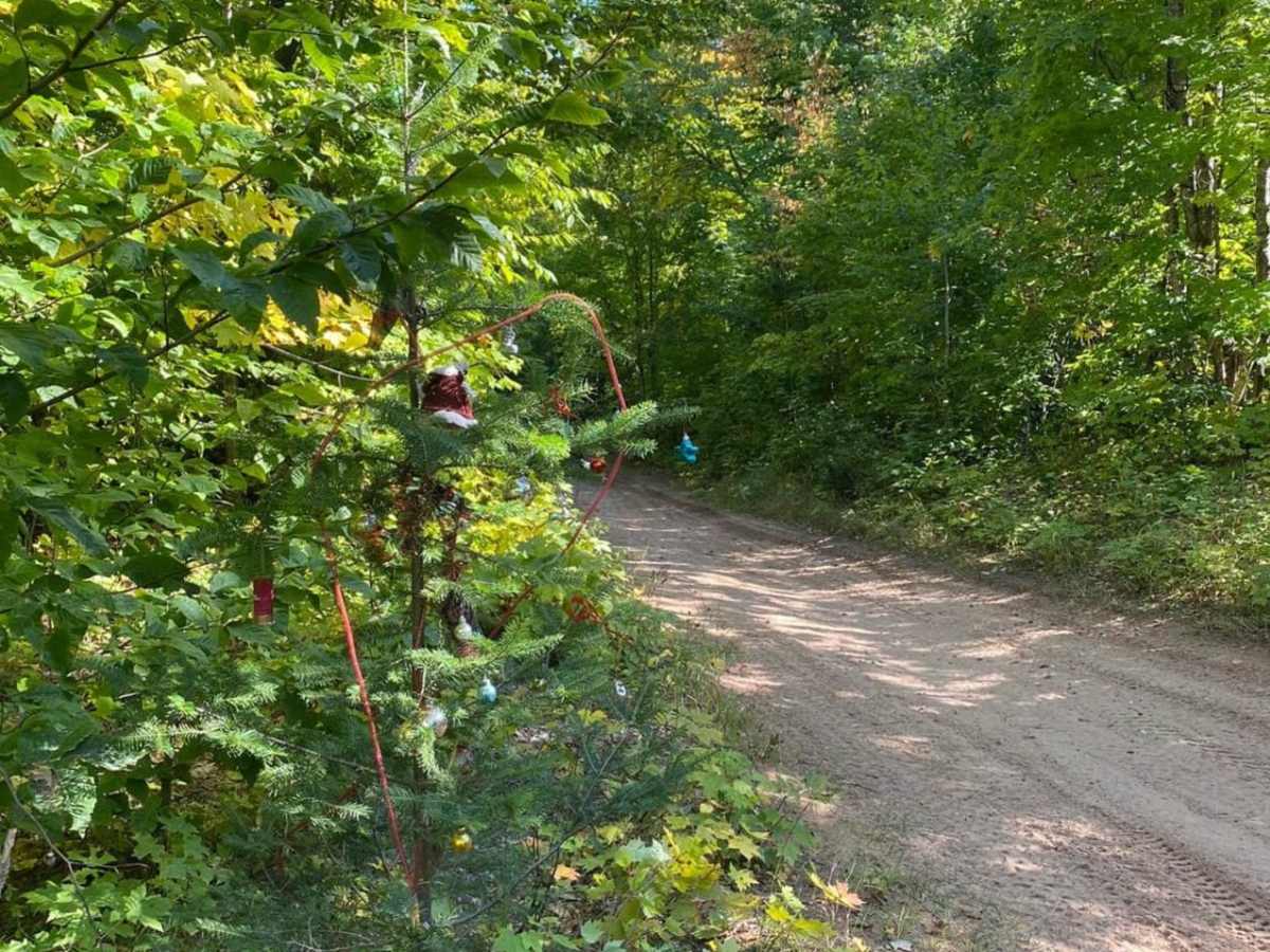 Candy Cane Lane - Trail 419 photo 6