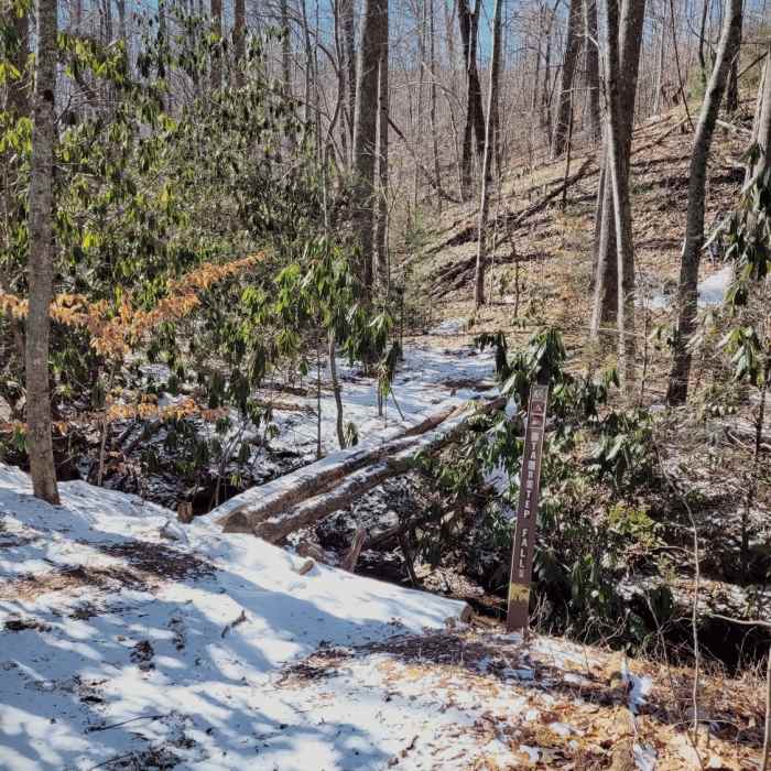 Bridge over Stair Step Falls, where Turkey Gut & Stair Step Falls trails meet. Near Green River Game Lands Loop #2