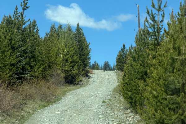 Chuwhels Mountain