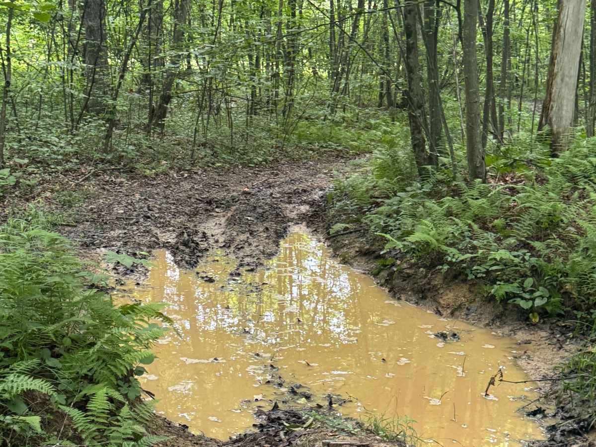 Trail 62 photo 3
