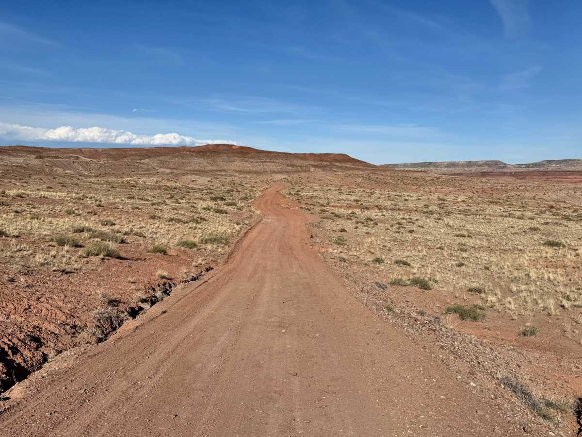 BLM 149 photo 5
