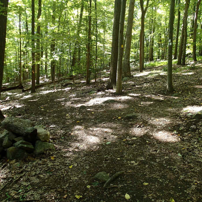 Second junction with the White Trail. Near Pyramid Mountain White Trail