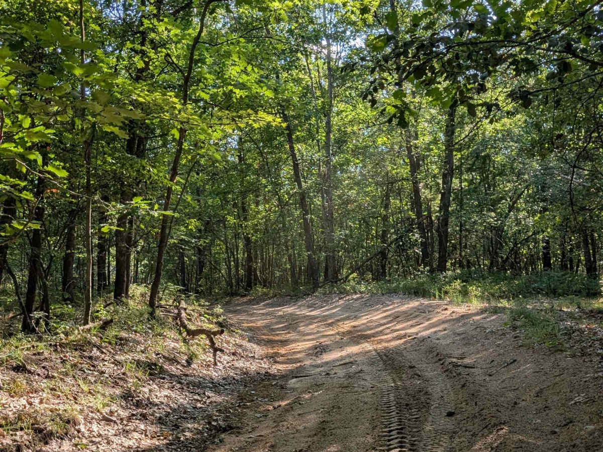 Walker Spur Trail photo 5