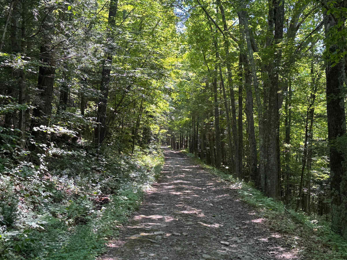 Dave Brown Mountain Road photo 4