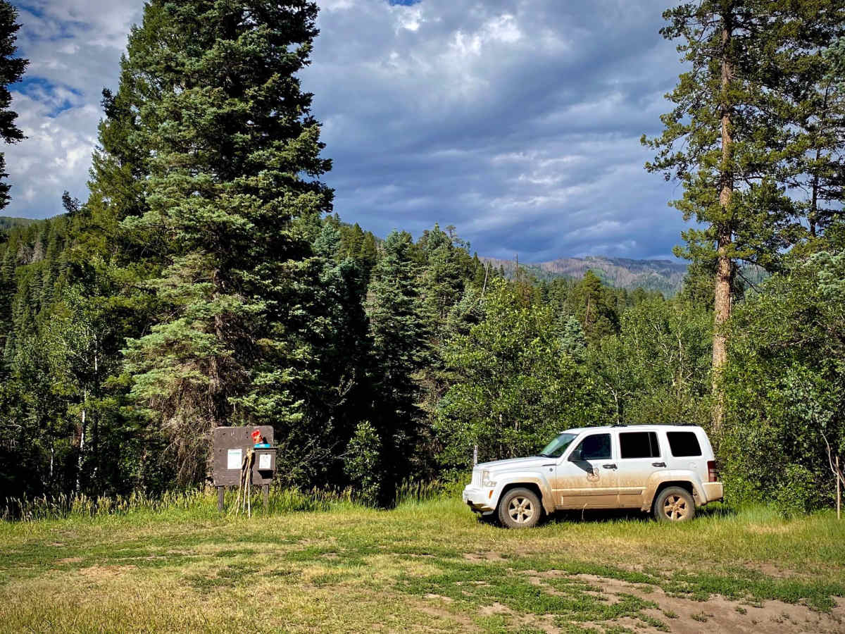 Fawn Gulch-Fr Rd 666 photo 5