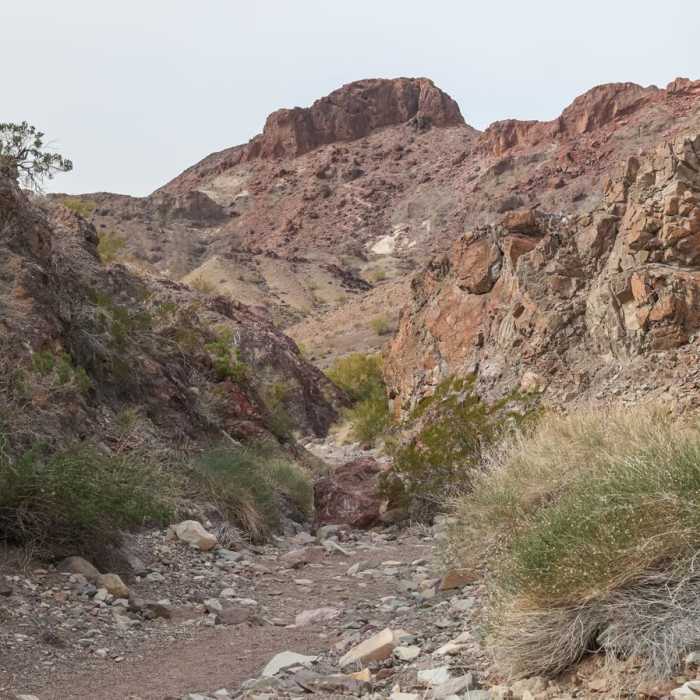 Near SARA Mountain-Wash Loop