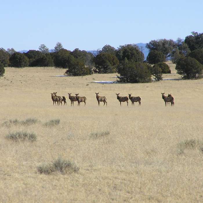 Near Whiterocks via North Mesa
