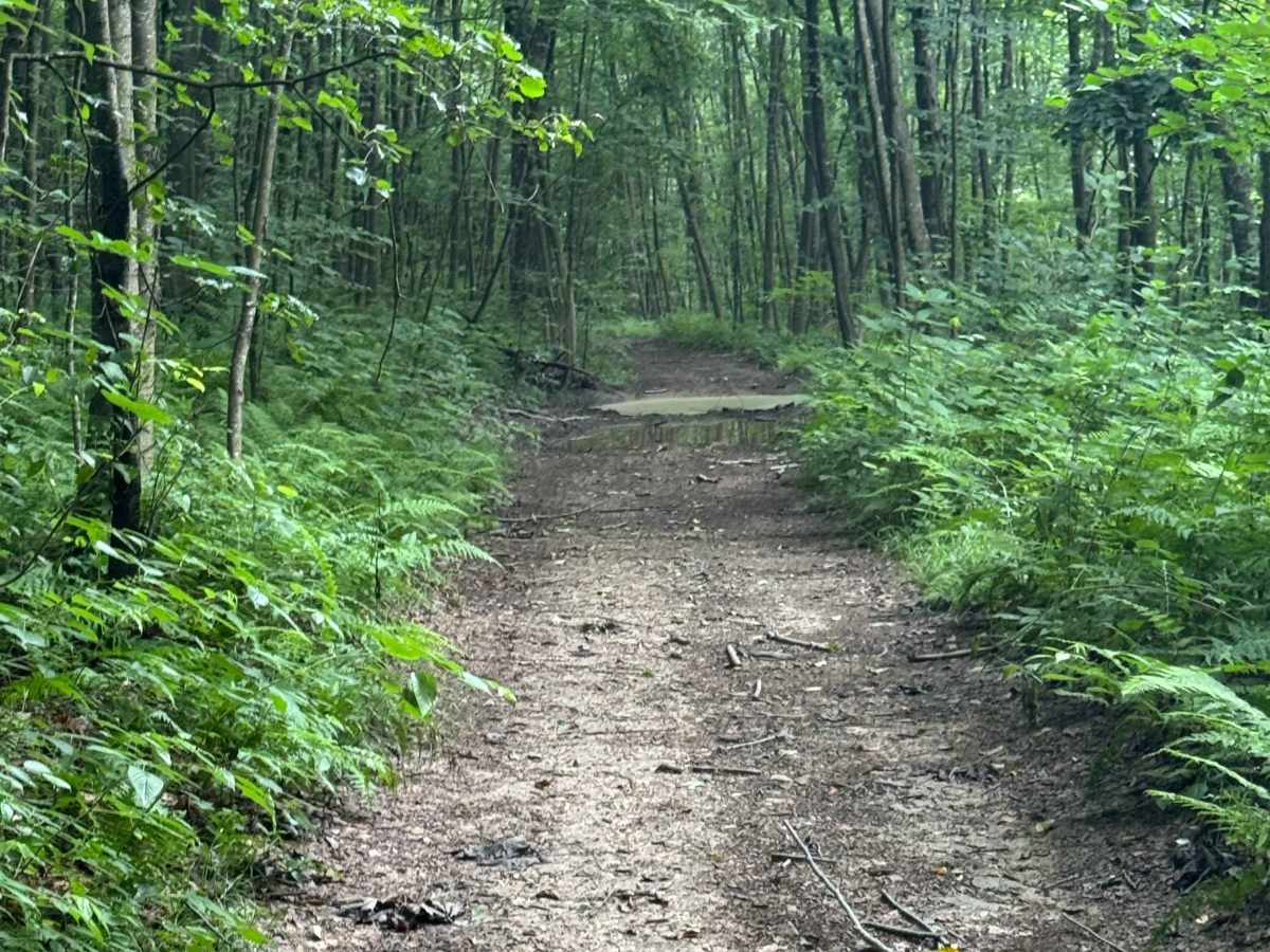Trail 64 photo 3